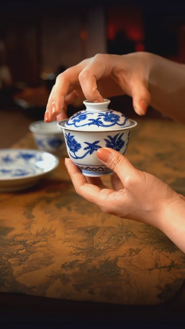 【刷刷粉丝专属】秋葵盖碗