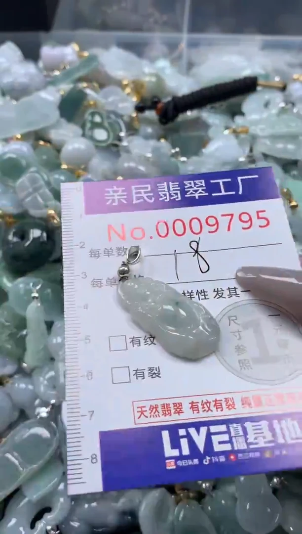 颈饰未镶嵌翡翠9795