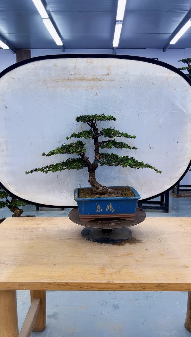 以实际为准00000