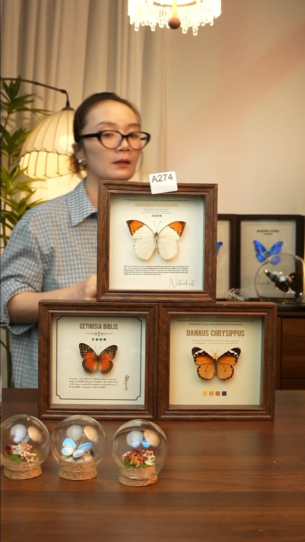 3个蝴蝶组合6寸A274