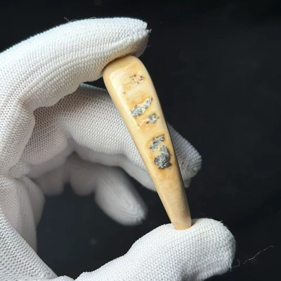 丰骨「猛犸象牙·牙尖」Y424 55*12mm 材质保真 假一罚四