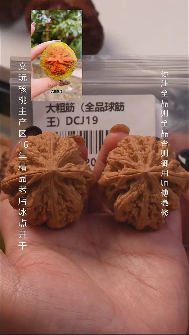 把件桃核44大粗筋全品8号