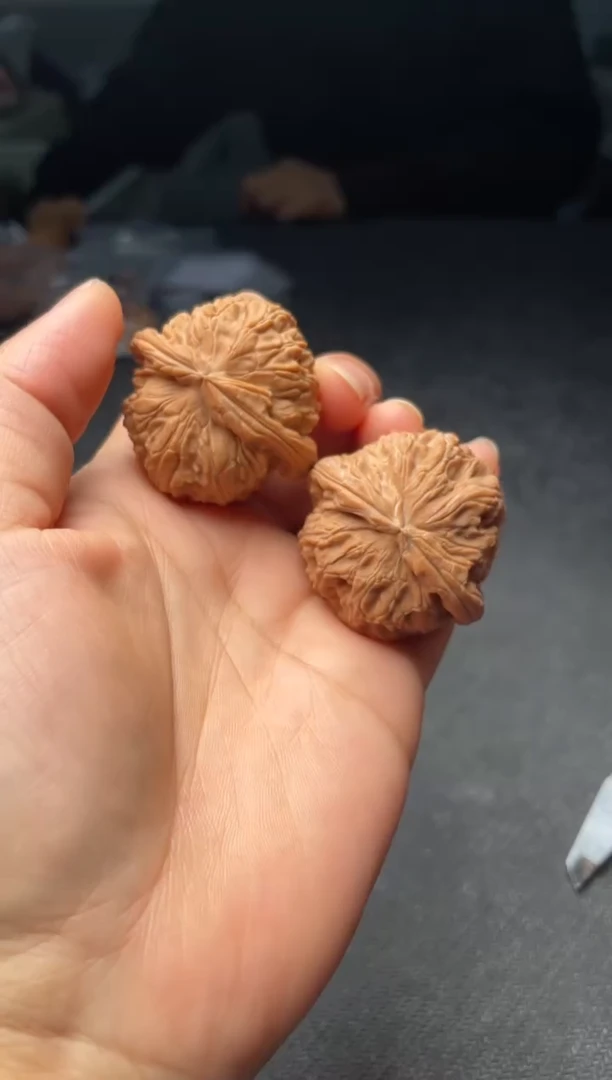 把件文玩核桃W067  白狮子  39