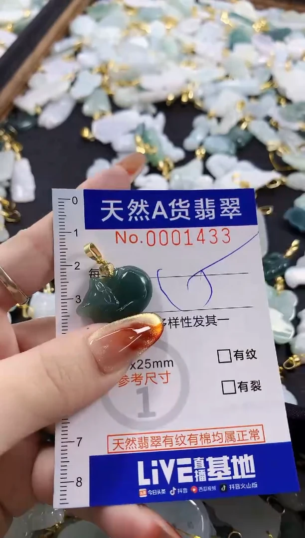 颈饰未镶嵌翡翠天然A货翡翠