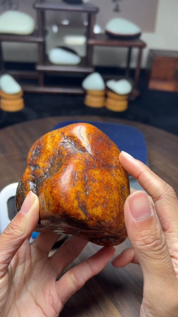 雪*狼11111111111111111