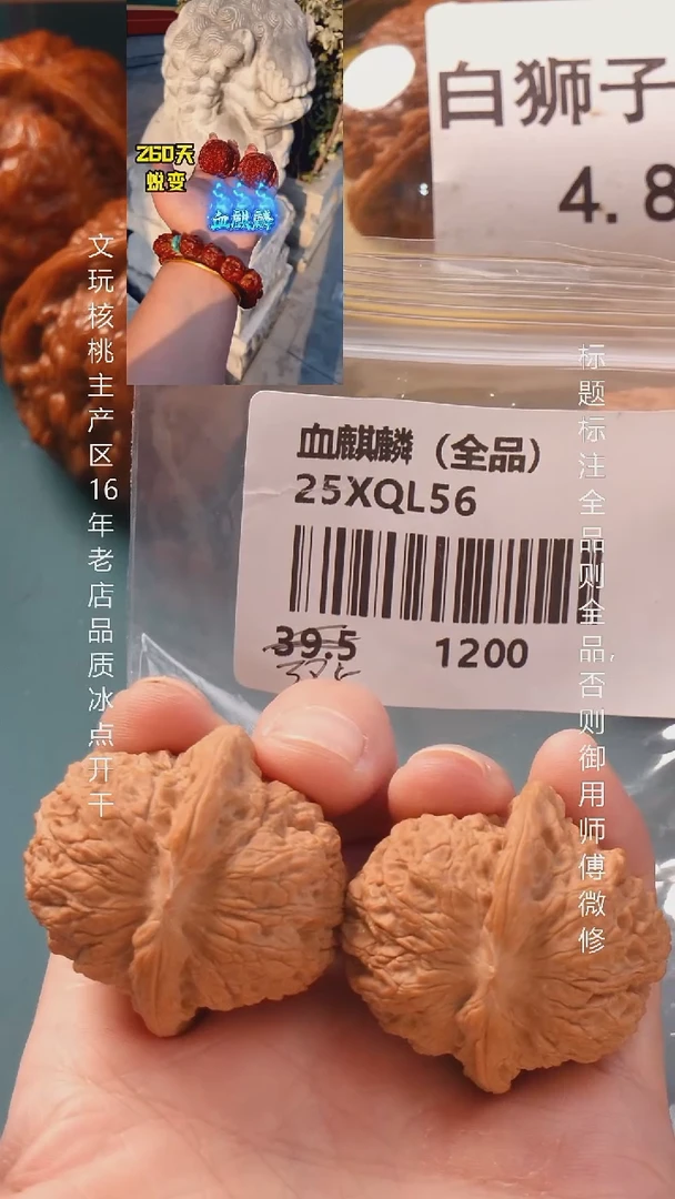 把件文玩核桃38.5血麒麟狮子头全品6号