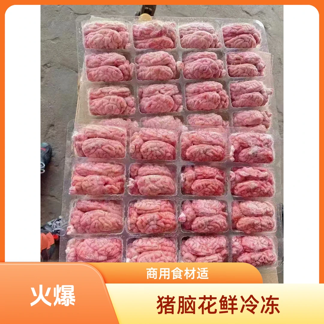 新鲜冷冻猪脑花适用于火锅烧烤等商用自助餐食材羊拐筋火锅食材