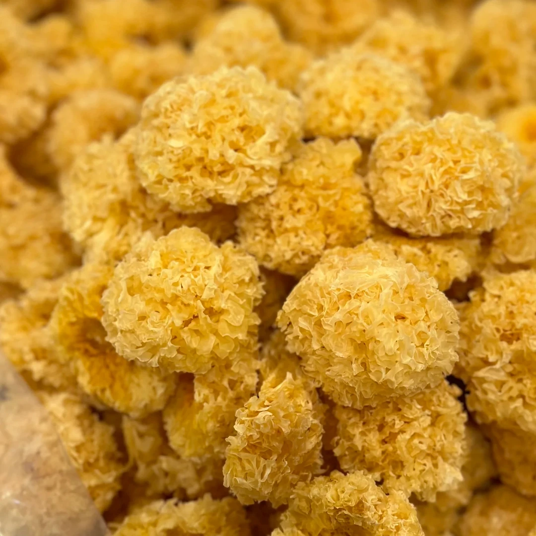 湖北恩施山区椴木小银耳精选出胶软糯