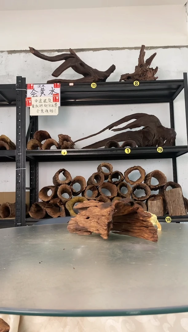 唬*鱼缸爬宠造景素材467