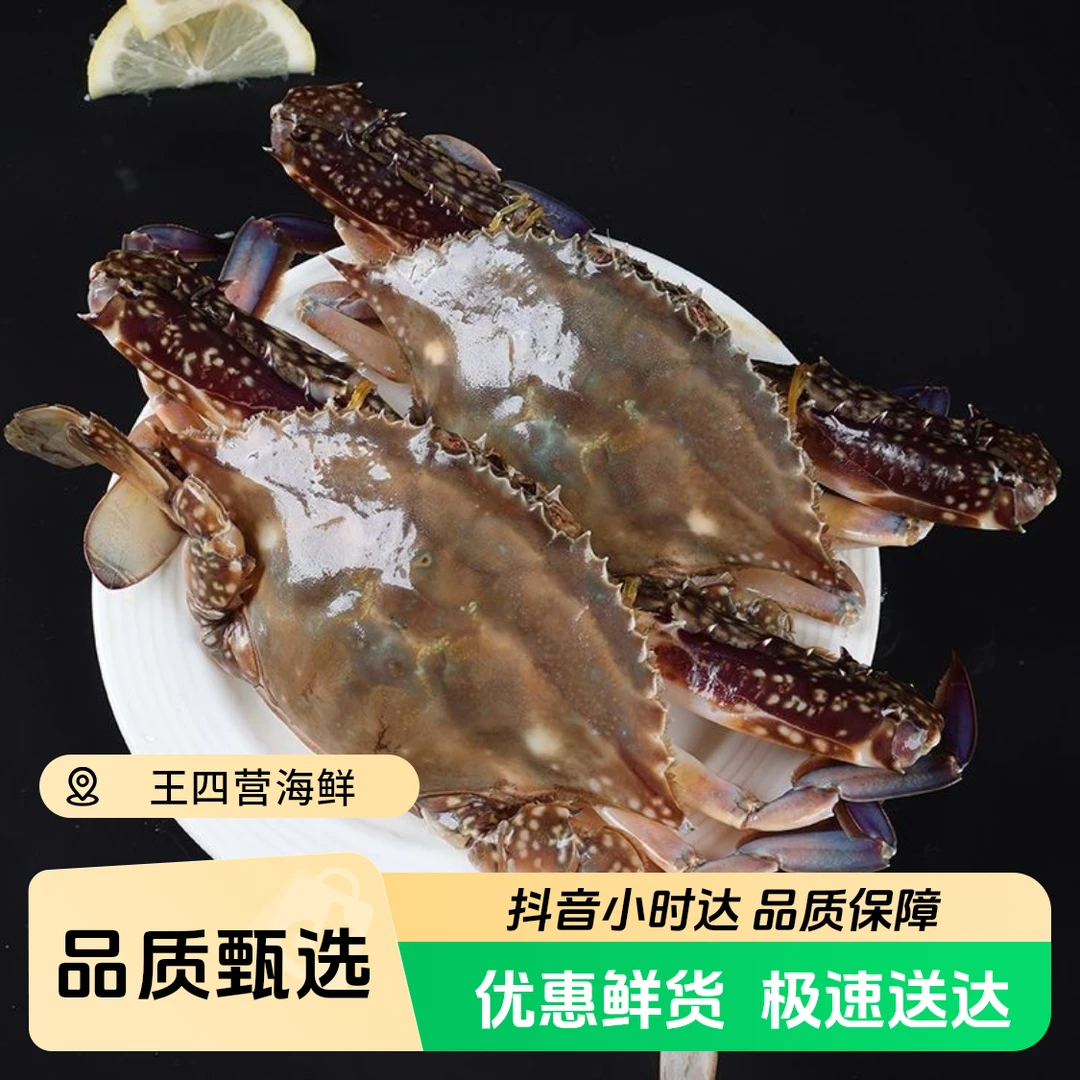 【直播间里福利】牺牲梭子蟹，加碎冰保鲜发货海鲜梭子蟹同城