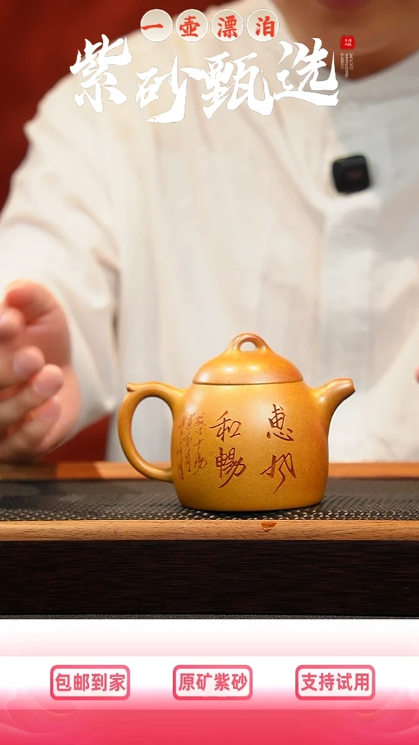 茶壶紫砂 一壶漂泊紫砂茶器-