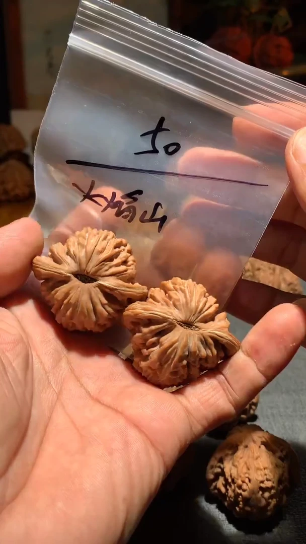 把件桃核火****场丰泰文玩  四座楼 42+  尺寸