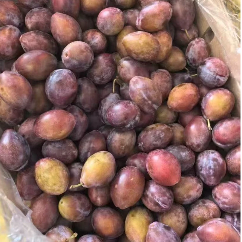 空运澳洲西梅一斤