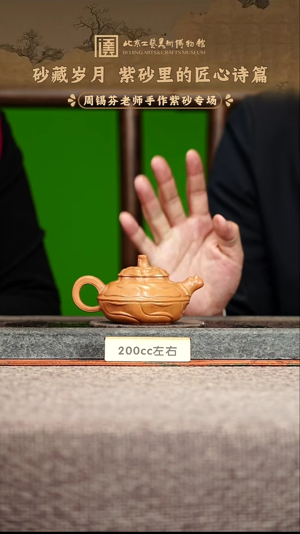 宜兴紫砂茶壶茶壶43