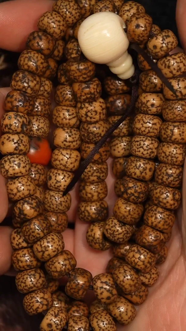 冲赛康胡子哥，藏传念珠186