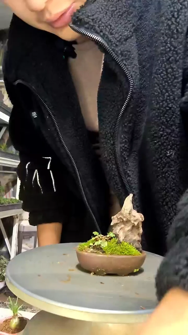 乐*吖中青园艺一物一拍花401