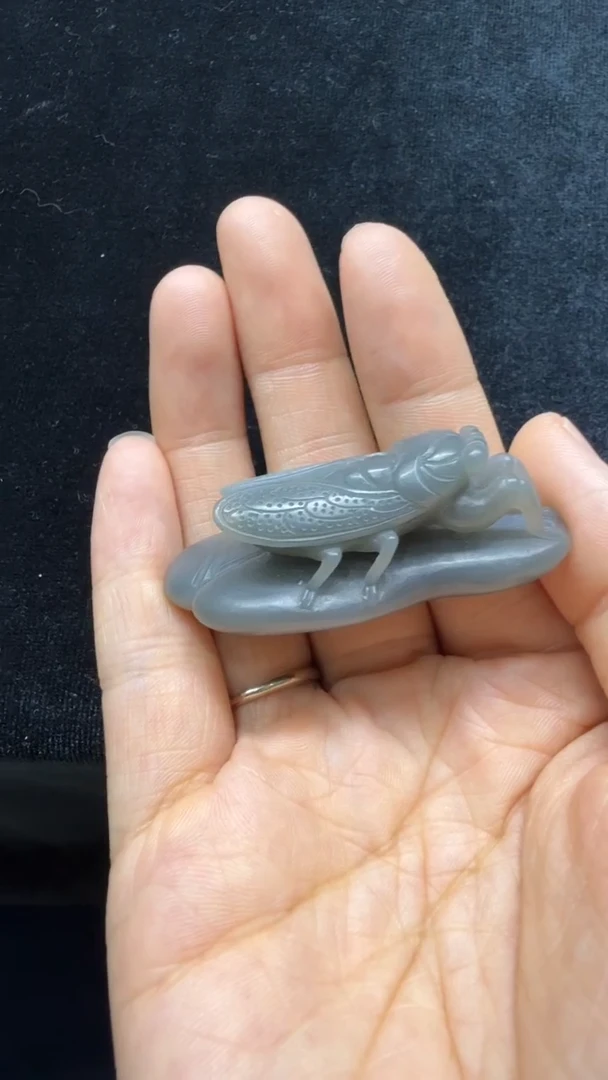 和田玉未镶嵌吊坠(不含链)845蝉