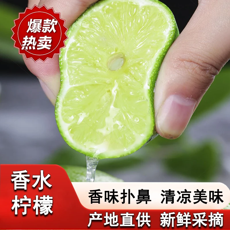 广东正宗无籽香水柠檬新鲜采摘果茶专用香气可人水果