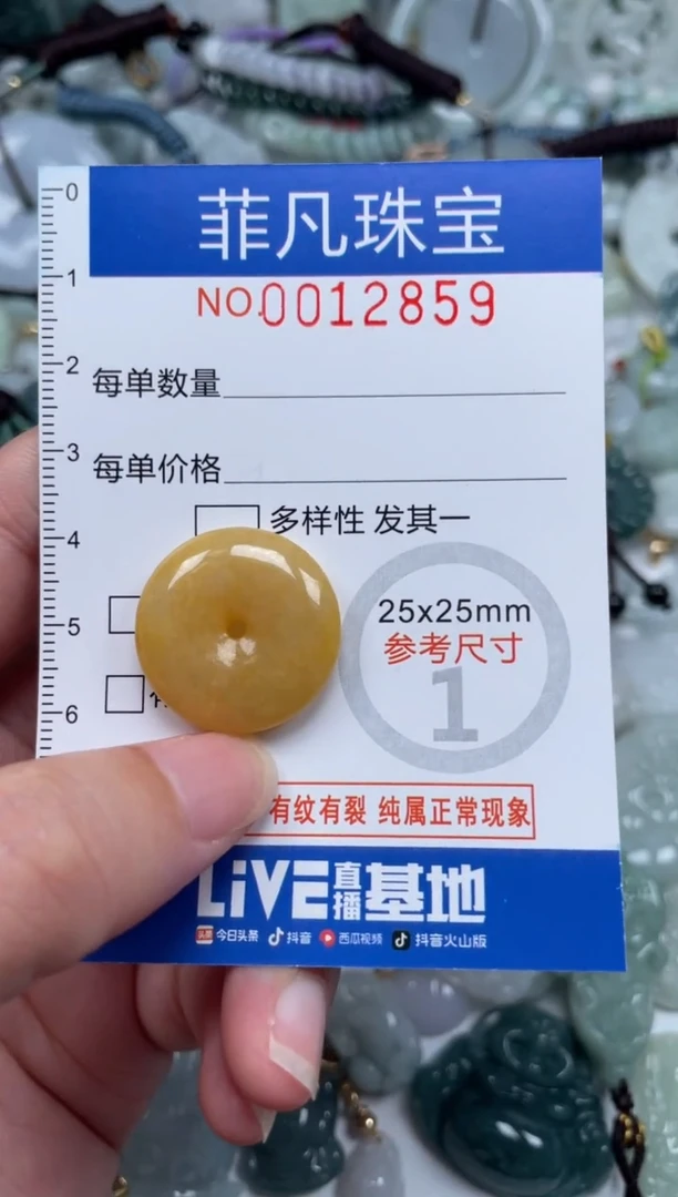 颈饰未镶嵌翡翠12859