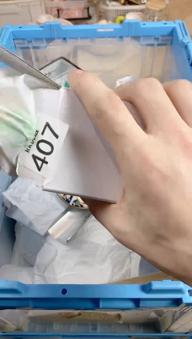 【闪购商品】瓷片407定向 听风2023定向 听风20彩