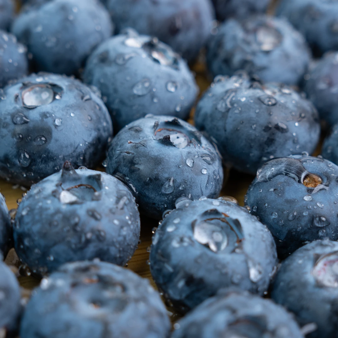 【莓丽悠品6盒】花香蓝莓果王新鲜采摘鲜果水果