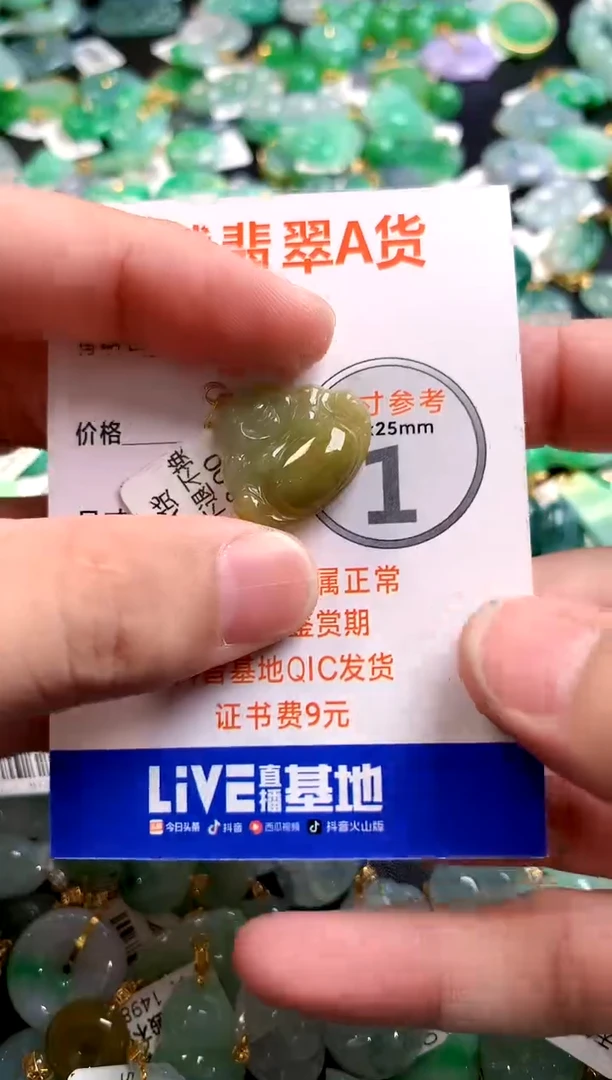 颈饰18K金镶嵌翡翠0818802895