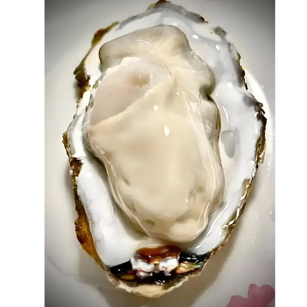 八只五斤威海产地直发生蚝顺丰发货