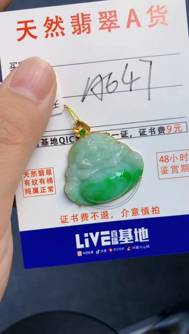 颈饰18K金镶嵌翡翠天然缅甸A货翡翠百元以上9元证书费自理