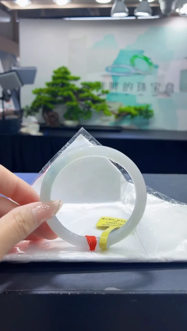 未镶嵌手镯翡翠3
