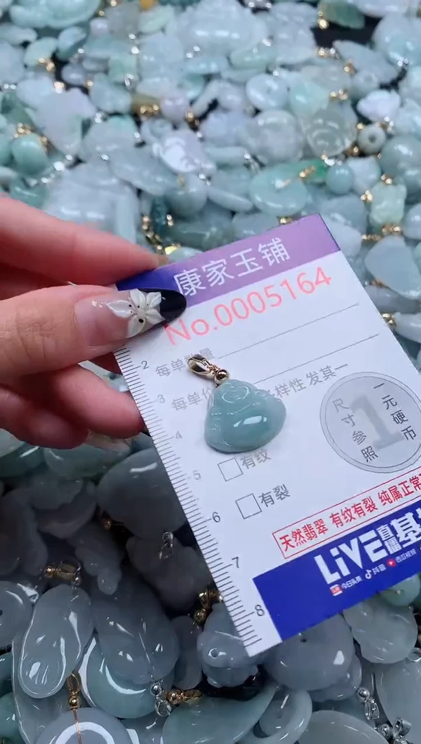 颈饰未镶嵌翡翠5164