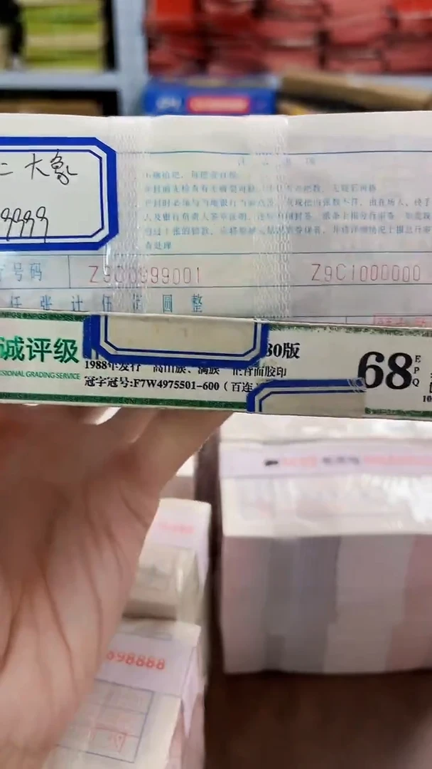 M 05，倒置圆圆，数二大象，Z9C0999999