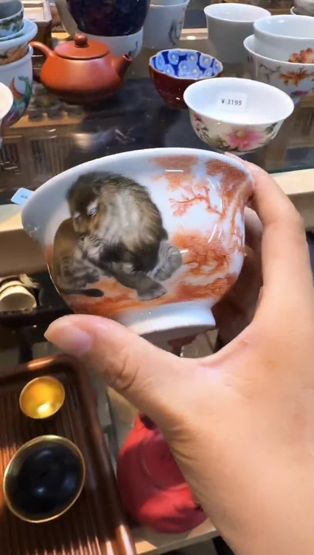 今天茶具 最后清仓两场