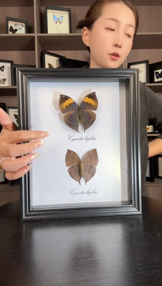 实木竖款枯叶蛱蝶（蝴蝶装饰画10寸框）