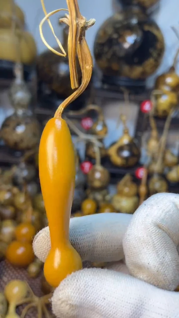 【闪购商品】葫芦葫芦葫芦葫芦