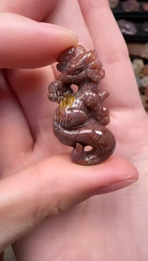 颈饰未镶嵌硅化珊瑚（珊瑚玉）226