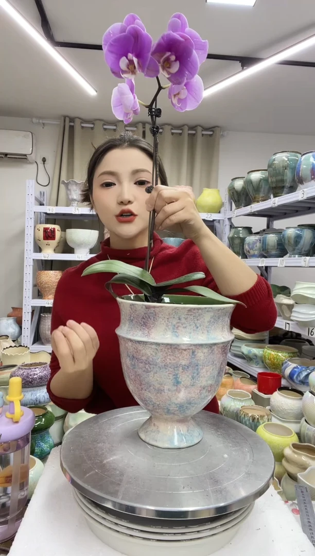 【1.4】花盆尺寸高：20 口：15