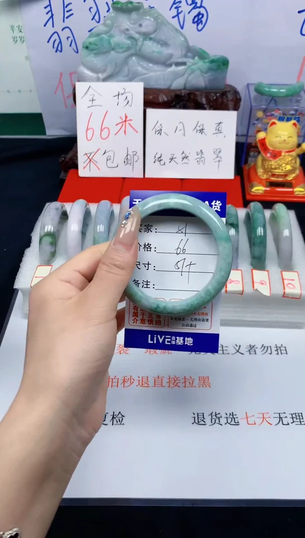未镶嵌手镯翡翠51