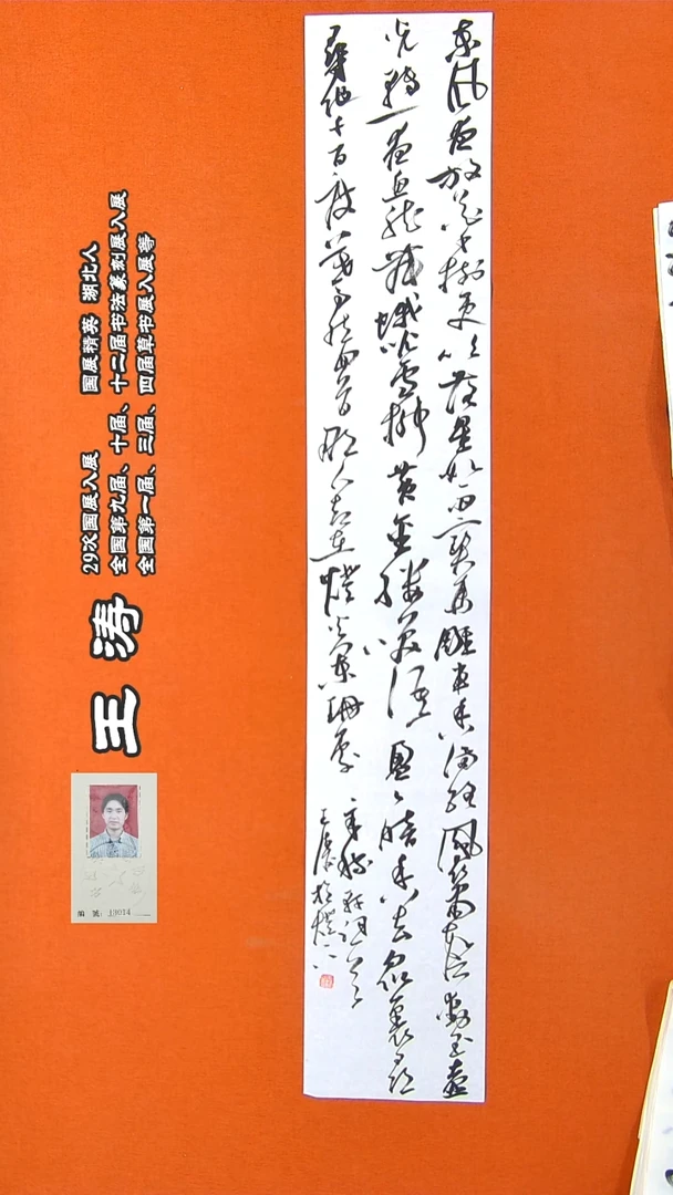 书法265R王涛书法作品