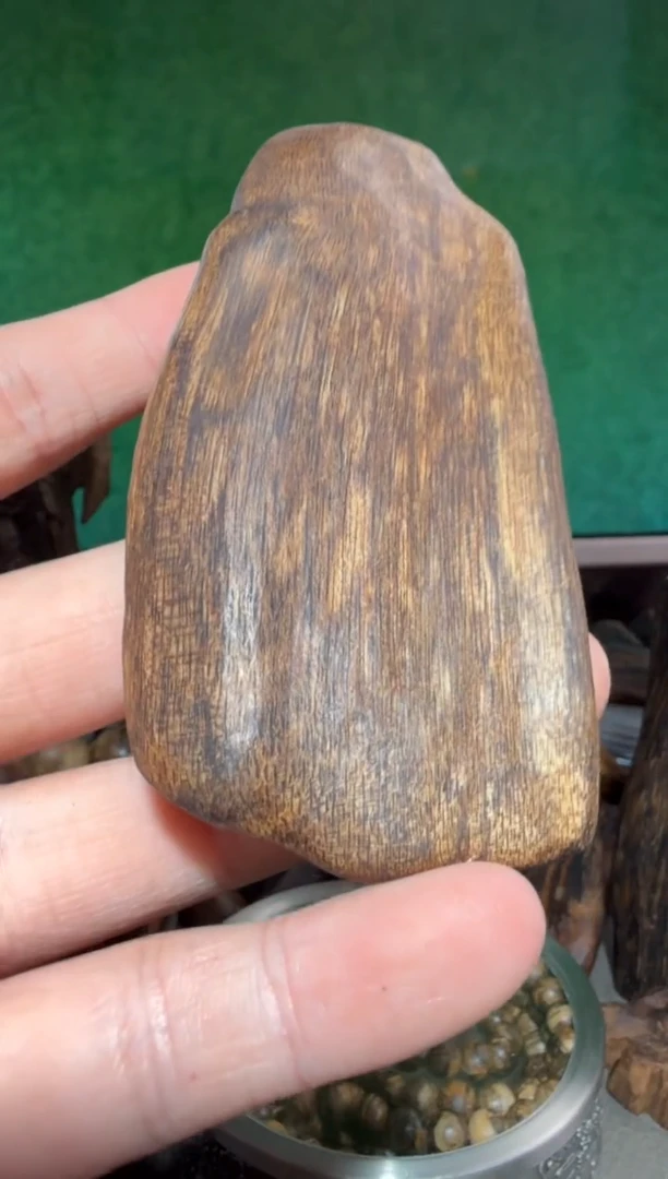 沉香手把件芽庄多样性发一