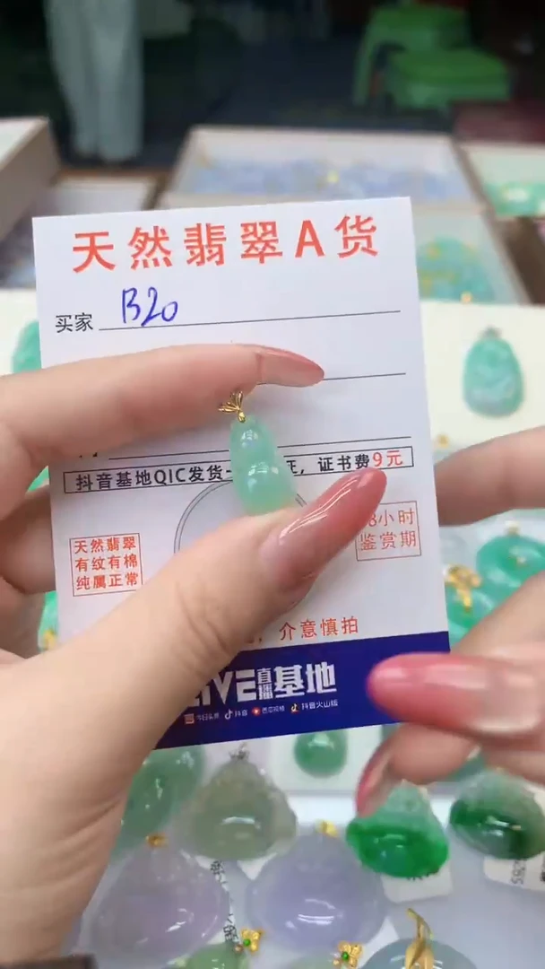颈饰18K金镶嵌翡翠天然A货翡翠挂件
