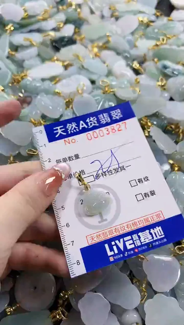 颈饰未镶嵌翡翠天然A货翡翠