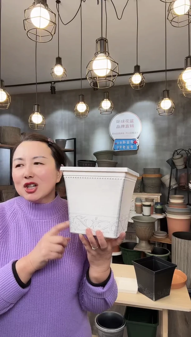 【闪购商品】塑料西红柿方盆白色 10只