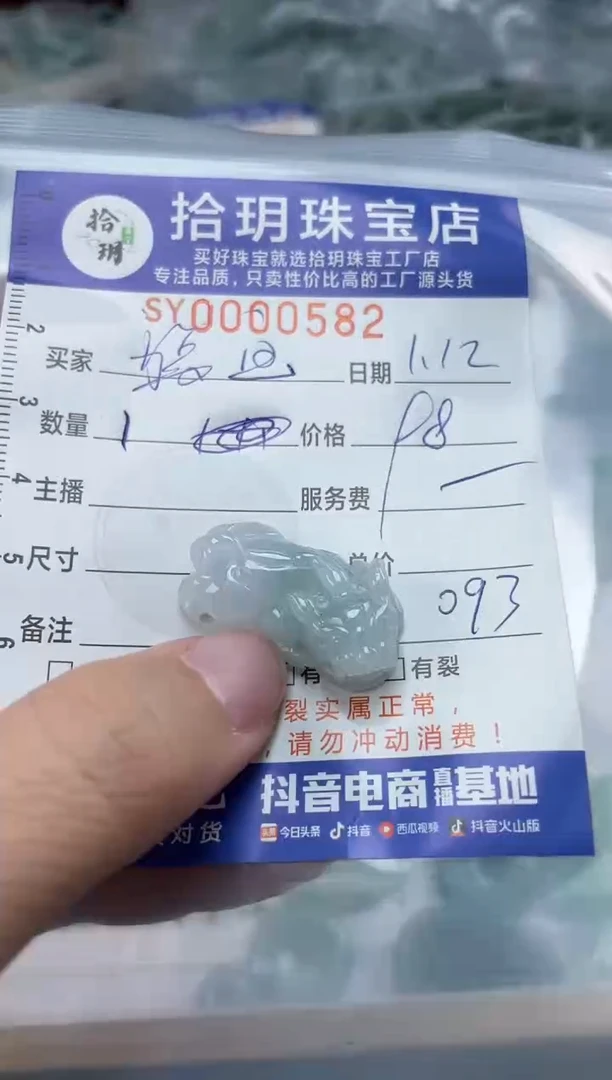 【闪购商品】翡翠颈饰未镶嵌貔貅582