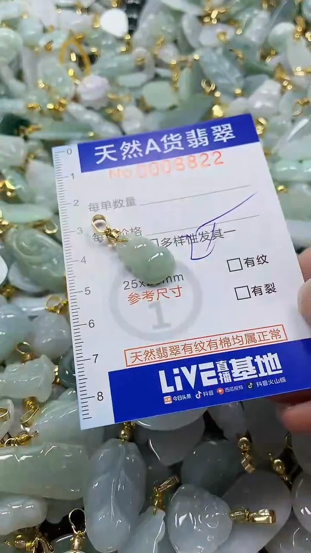 颈饰未镶嵌翡翠纯天然a货翡翠