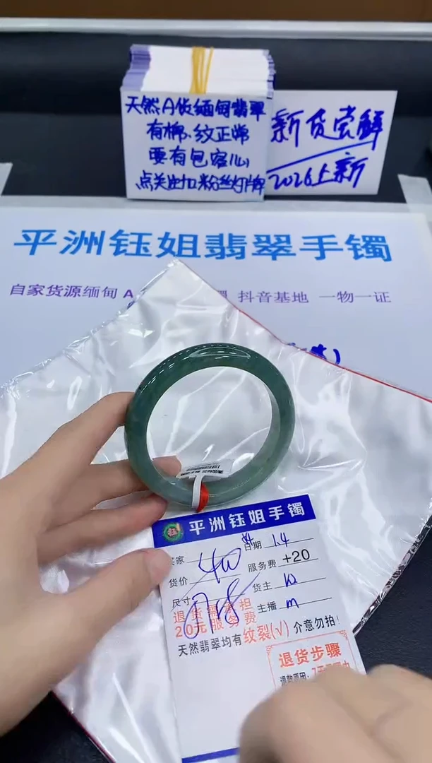 未镶嵌手镯翡翠11111