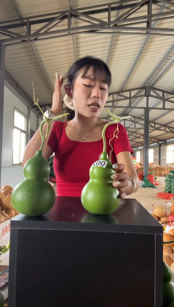 002天然葫芦摆件 一物一拍龙头不保售后