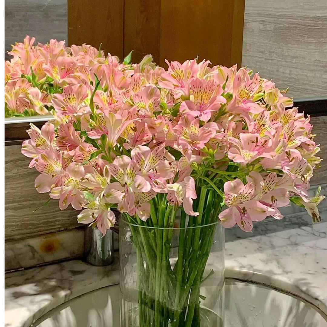 六初花鲜花【两单升级顺丰】云南鲜切花家庭插花