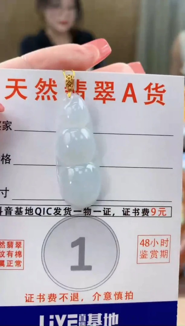 颈饰未镶嵌翡翠天然A货翡翠挂件