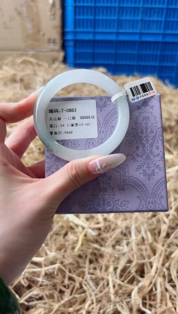 未镶嵌手镯石英质玉T-0883