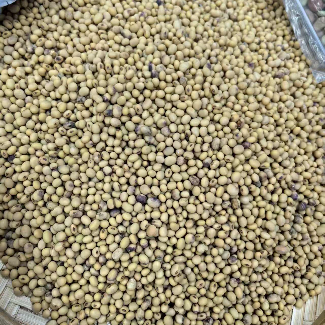 五姐妹农家 黄豆